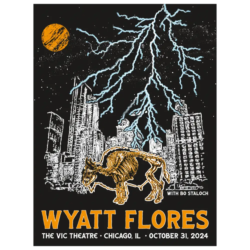 2024 Chicago IL Vic Theatre Poster