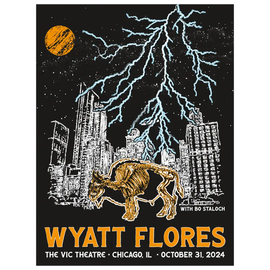 2024 Chicago IL Vic Theatre Poster